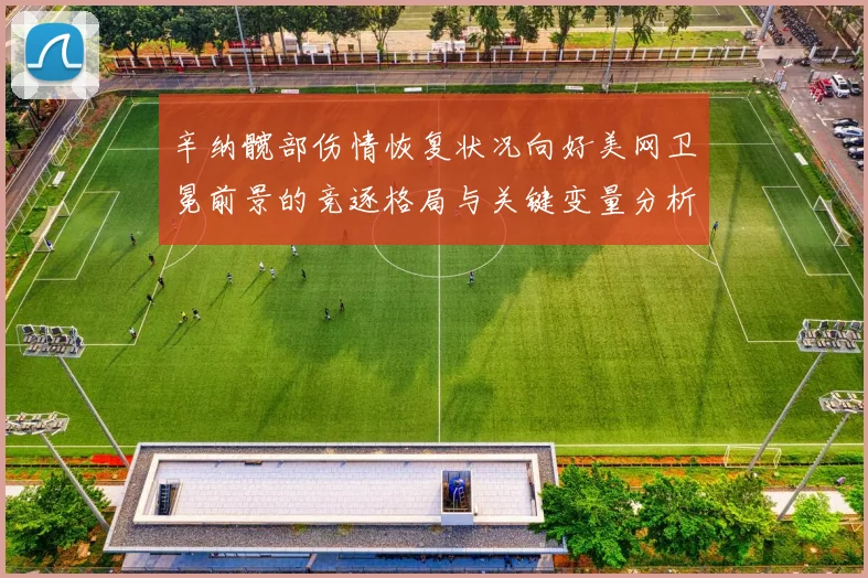 辛纳髋部伤情恢复状况向好美网卫冕前景的竞逐格局与关键变量分析