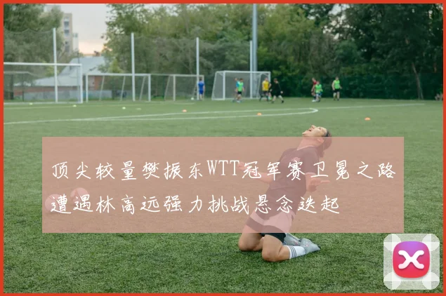 顶尖较量樊振东WTT冠军赛卫冕之路遭遇林高远强力挑战悬念迭起